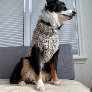 Wool Dog Sweater